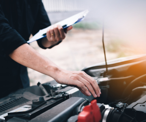 Free Annual Vehicle Inspection